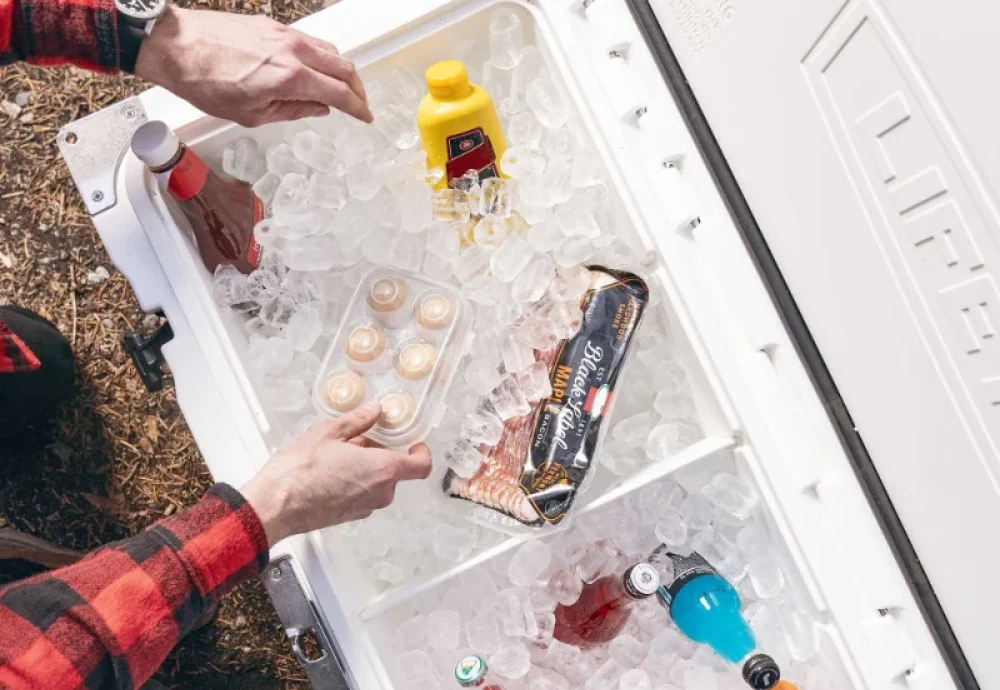 cooler box for ice cream