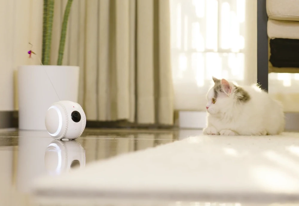 best camera for watching pets