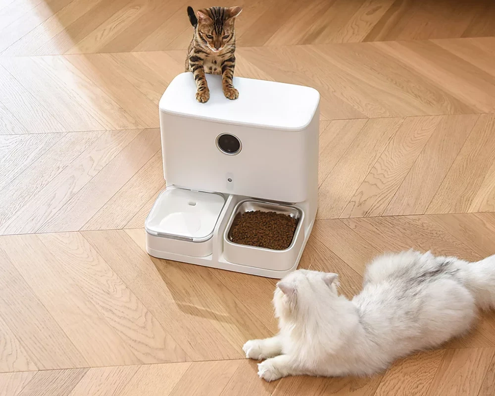 automatic dog food feeder